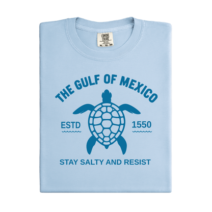 Light blue t-shirt with turtle graphic and text on a white background