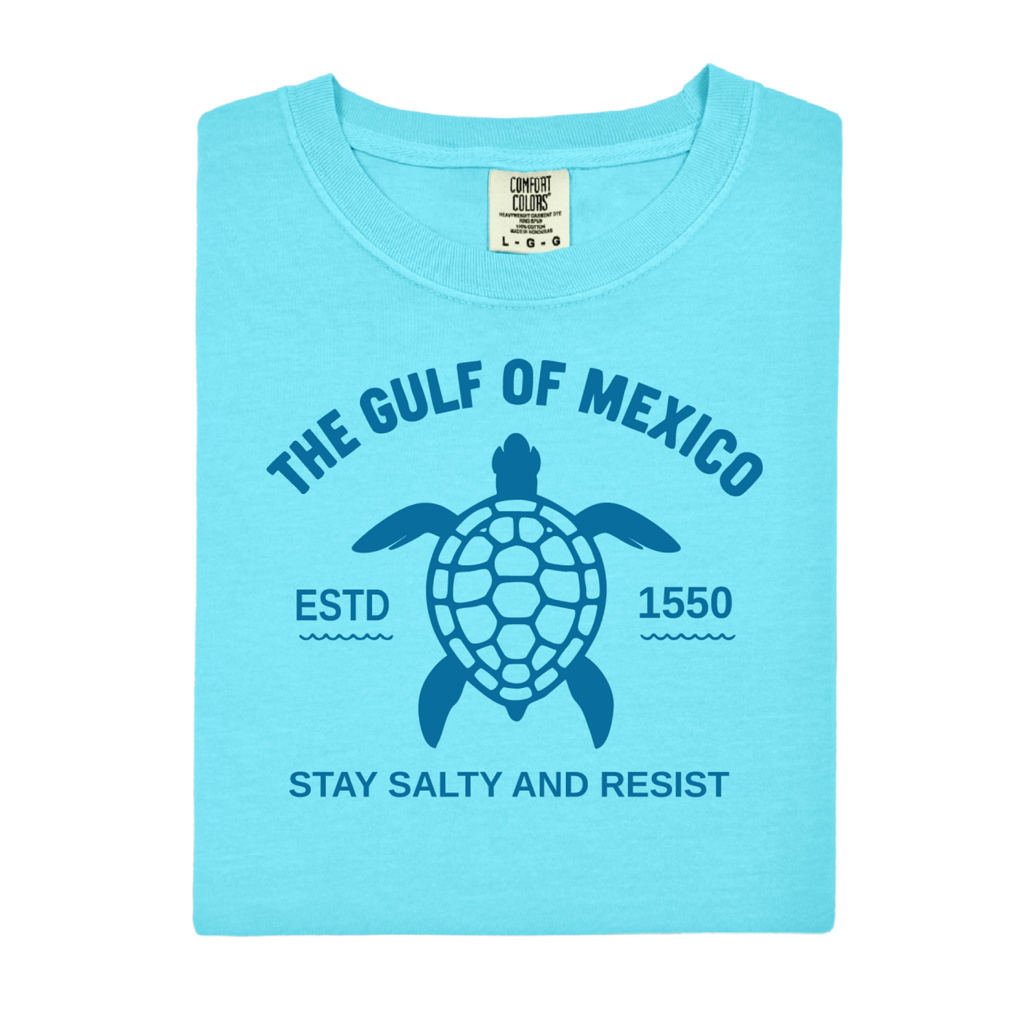 Light blue t-shirt with turtle graphic and text on a white background