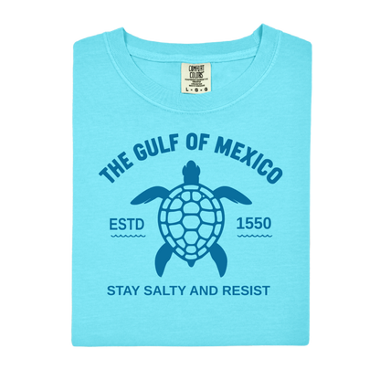 Light blue t-shirt with turtle graphic and text on a white background