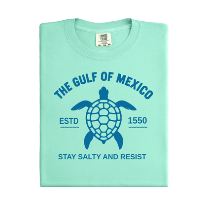 Light green t-shirt with turtle graphic and text on a white background