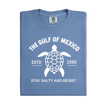 Blue t-shirt with a turtle graphic and text on a white background