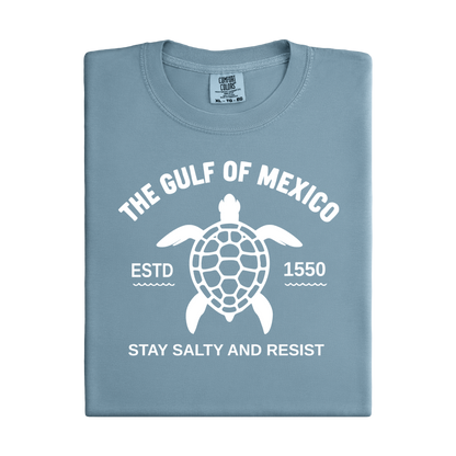 Folded blue t-shirt with turtle graphic and text on a white background
