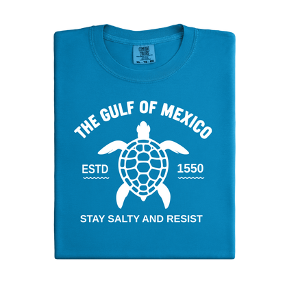 Blue t-shirt with turtle graphic and text on a white background