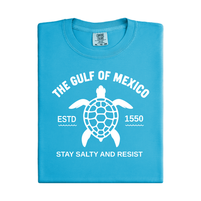 Folded blue t-shirt with turtle graphic and text on a white background