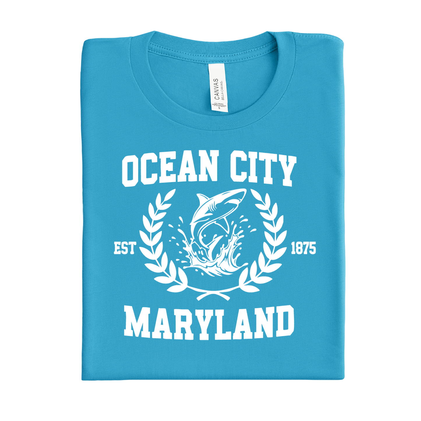 Aqua Blue t-shirt with 'Ocean City, Maryland' design on a white background