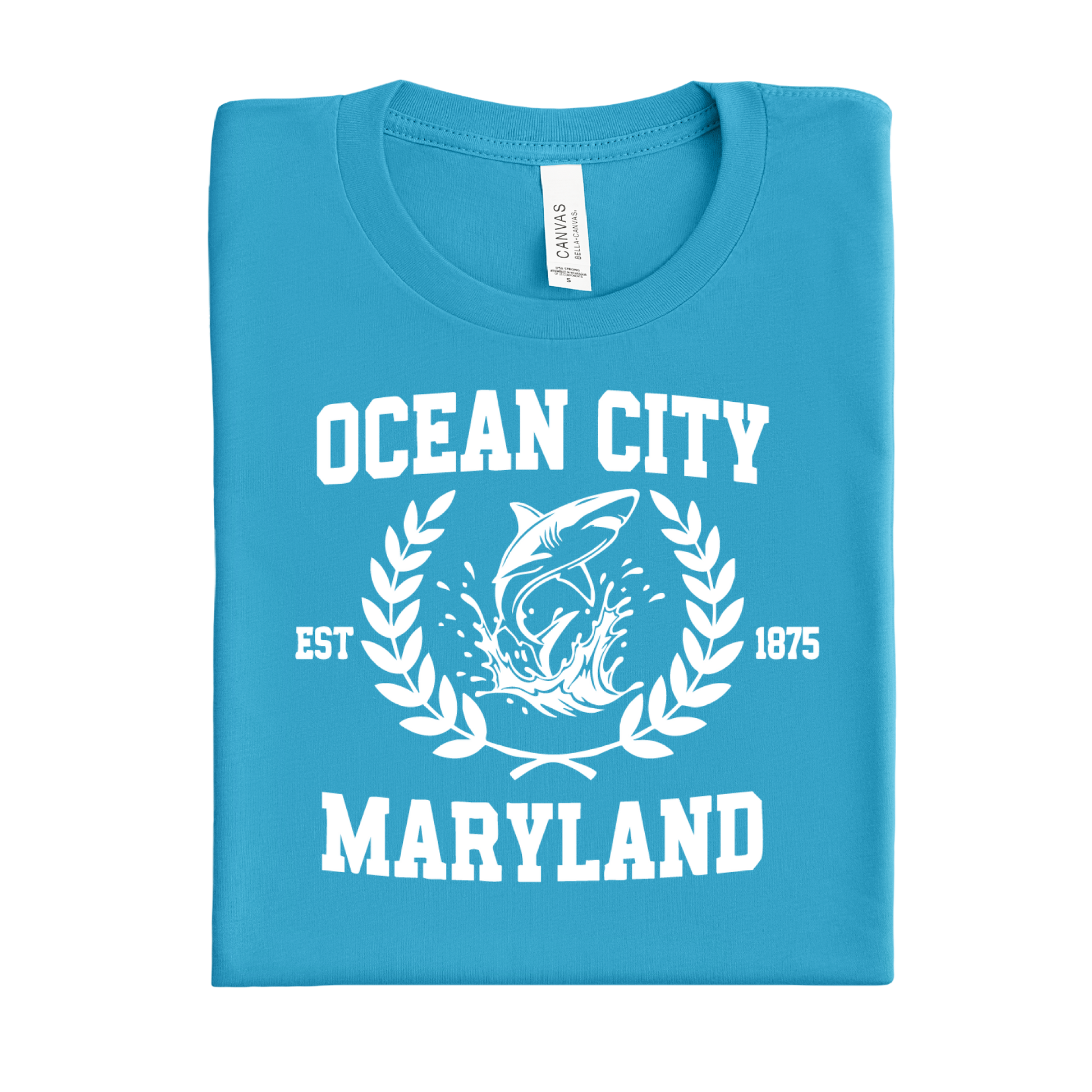 Aqua Blue t-shirt with 'Ocean City, Maryland' design on a white background