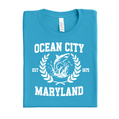 Aqua Blue t-shirt with 'Ocean City, Maryland' design on a white background