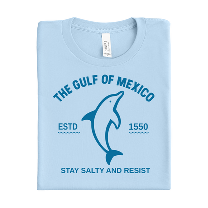 baby blue t-shirt with dolphin graphic and text on a white background