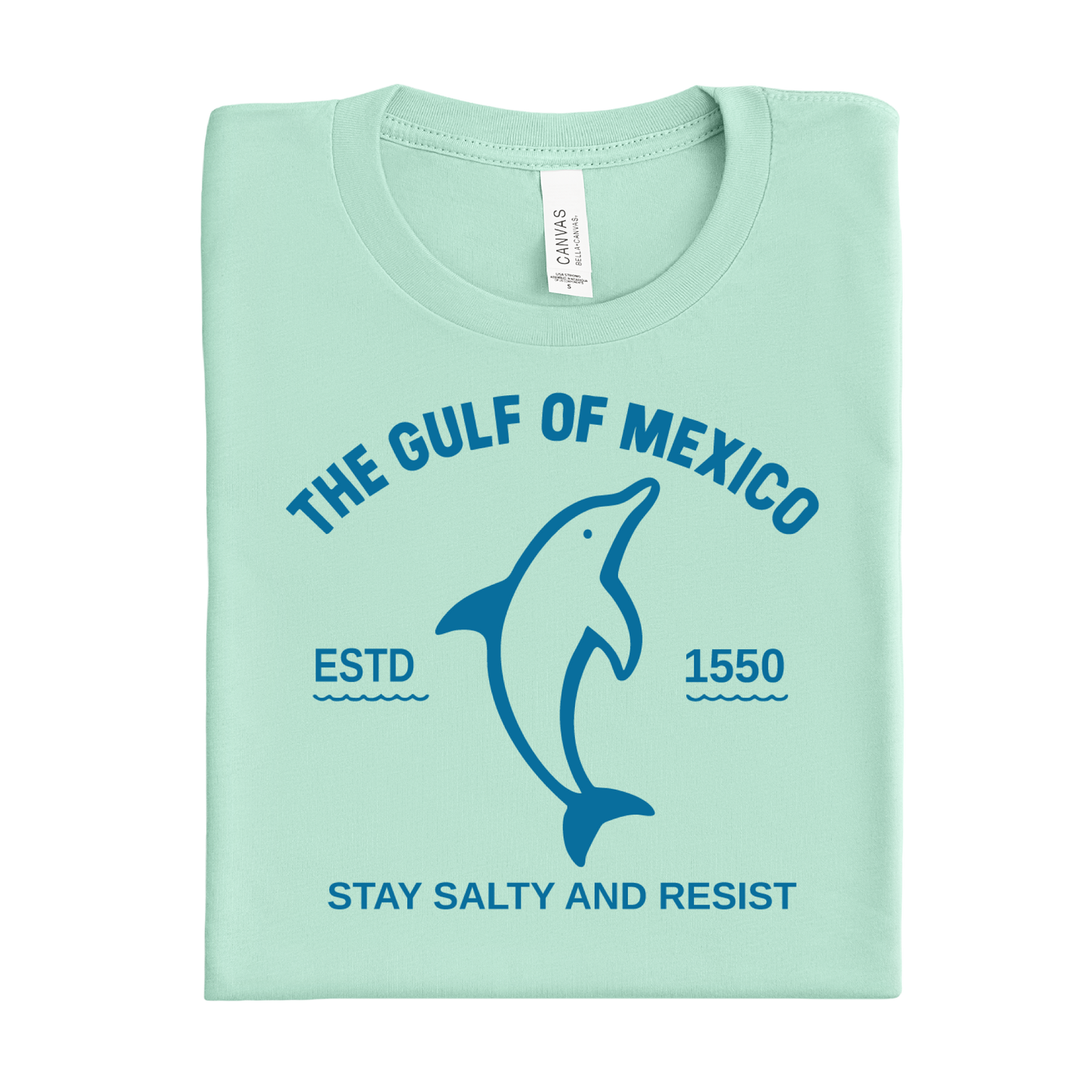 Mint green t-shirt with dolphin graphic and text on a white background