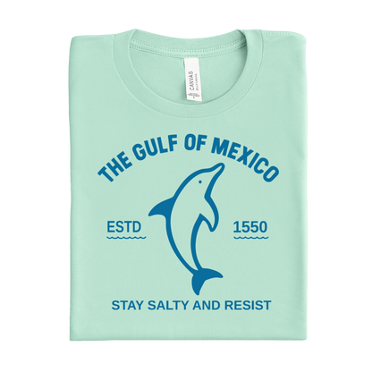 Mint green t-shirt with dolphin graphic and text on a white background