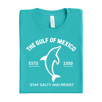 Folded teal t-shirt with white dolphin graphic and text on a white background