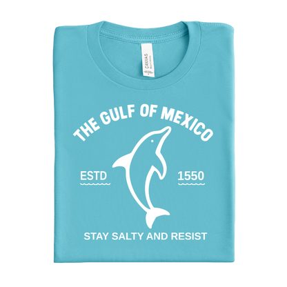 Folded turquoise t-shirt with white dolphin graphic and text on a white background