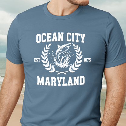 Person wearing a steel blue t-shirt with 'Ocean City, Maryland' design on a beach.