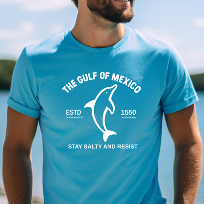 Person wearing a aqua  blue t-shirt with a dolphin graphic and text about the Gulf of Mexico.