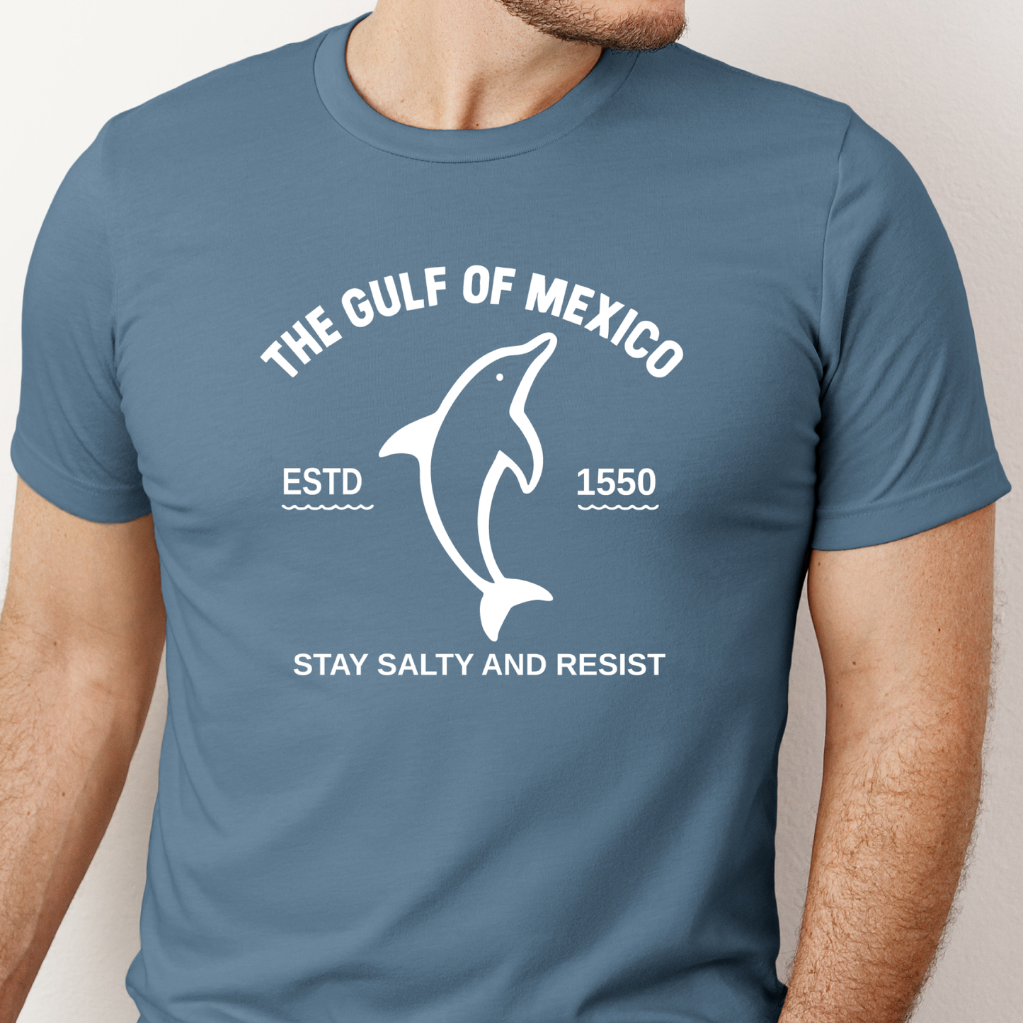 Blue steel t-shirt with a dolphin graphic and text on a plain background