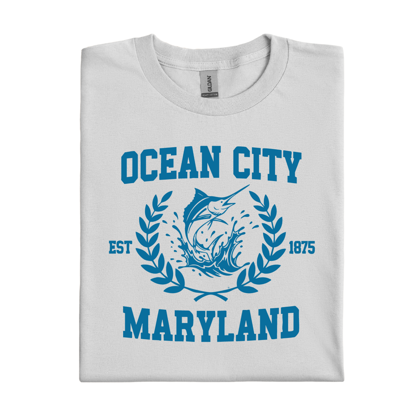 Ice Grey t-shirt with blue 'Ocean City Maryland' design on a white background